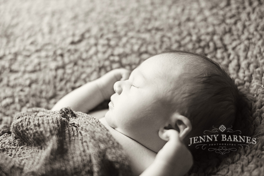 columbus ohio newborn photography