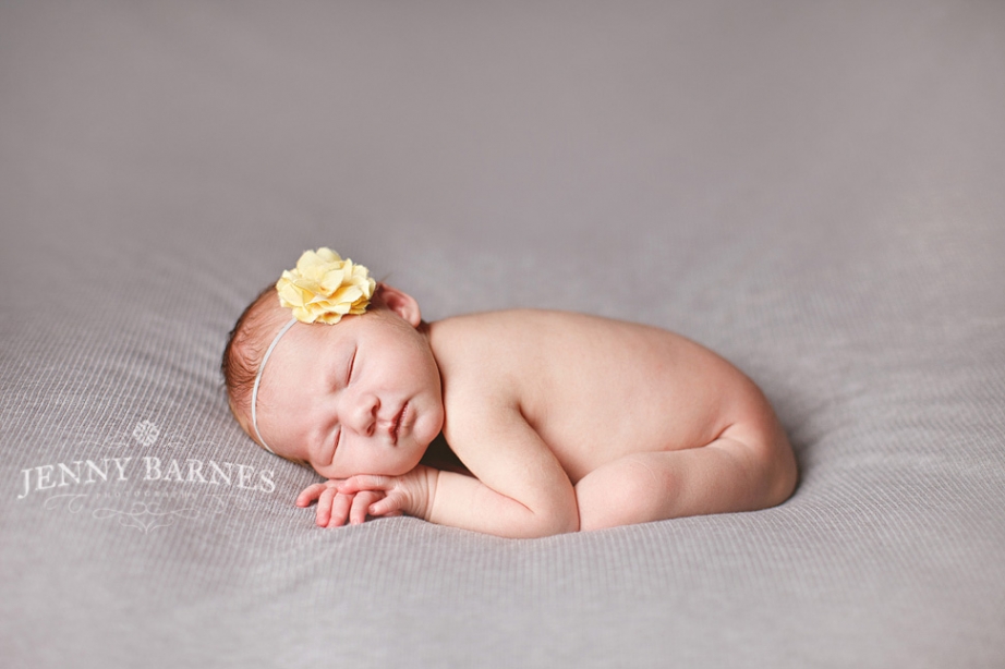 columbus ohio newborn photography